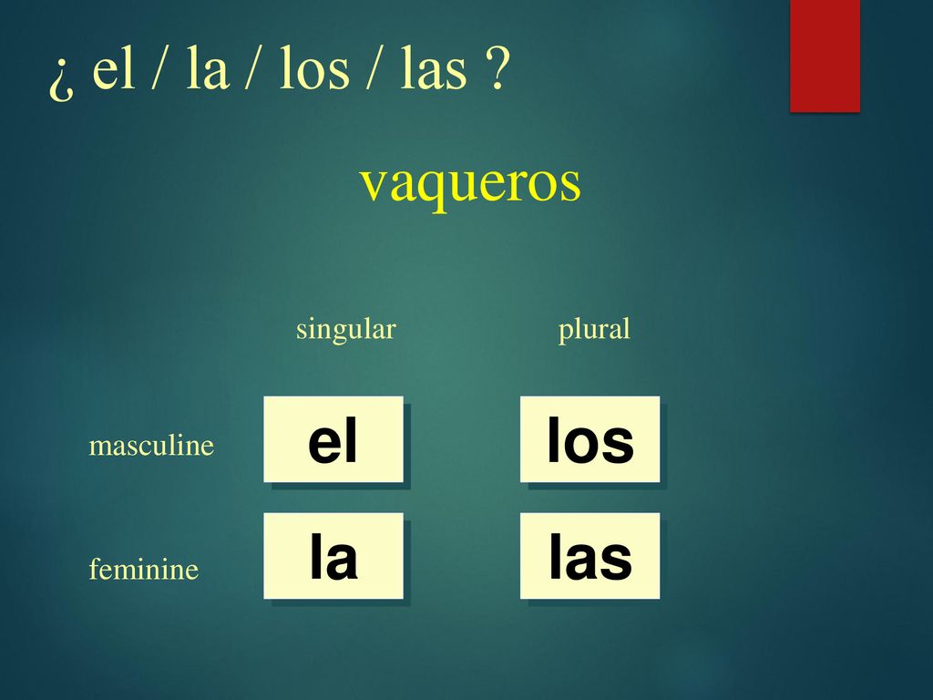 ¿ el / la / los / las vaqueros el los la las singular plural