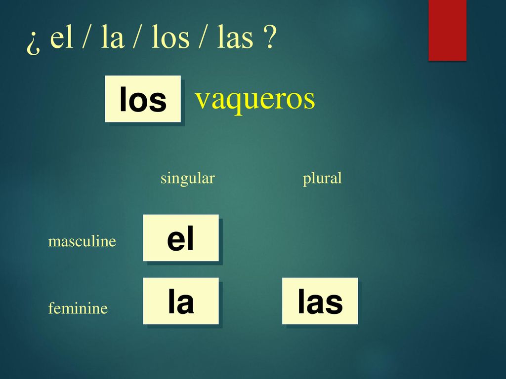 ¿ el / la / los / las vaqueros los el la las singular plural