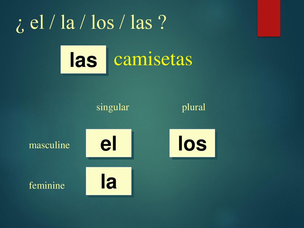 ¿ el / la / los / las camisetas las el los la singular plural