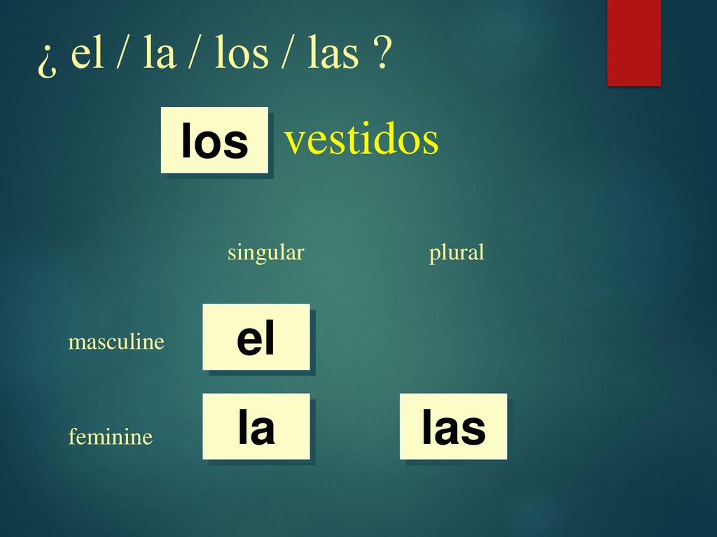 ¿ el / la / los / las vestidos los el la las singular plural