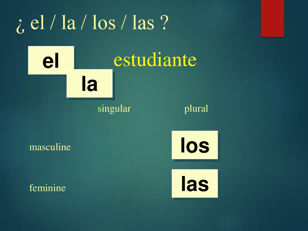 ¿ el / la / los / las estudiante el la los las singular plural