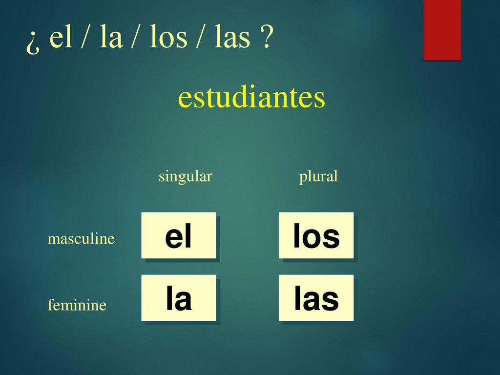 ¿ el / la / los / las estudiantes el los la las singular plural