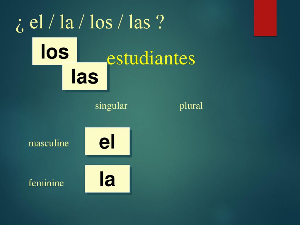 ¿ el / la / los / las estudiantes los las el la singular plural