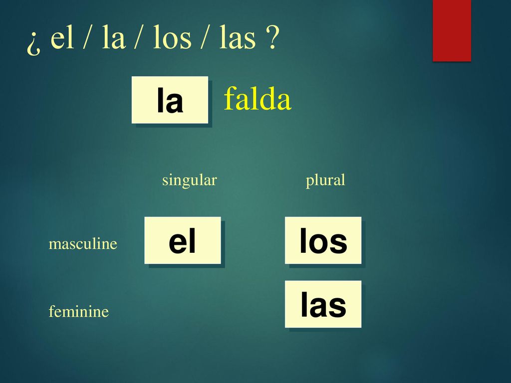 ¿ el / la / los / las falda la el los las singular plural masculine