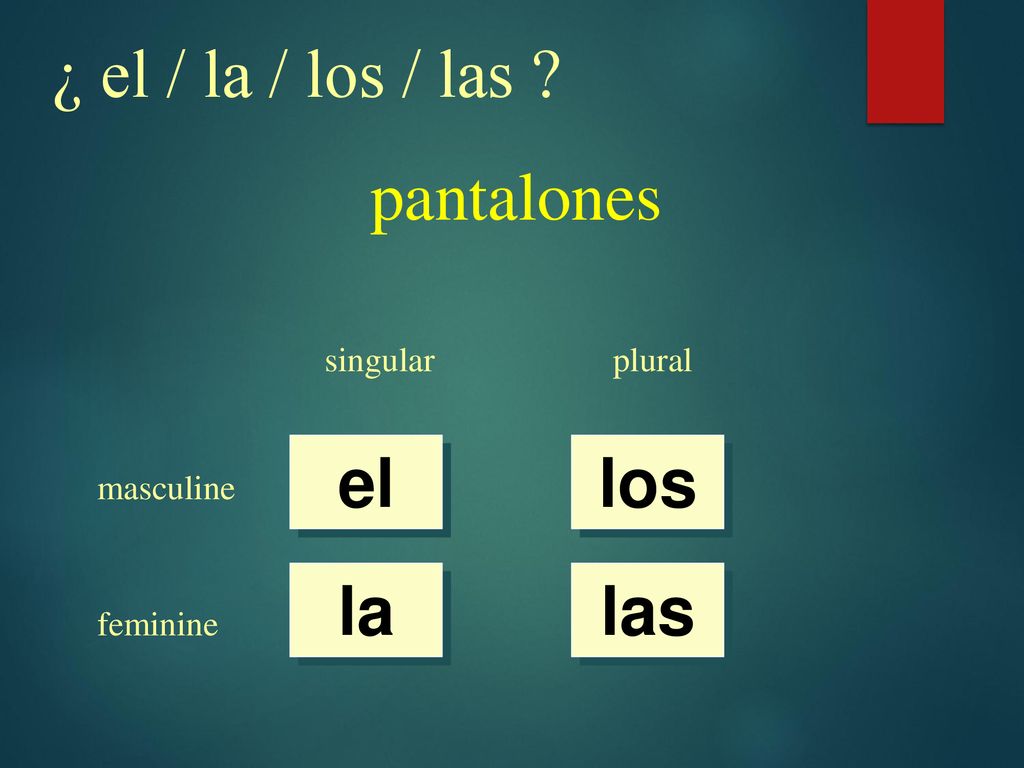 ¿ el / la / los / las pantalones el los la las singular plural