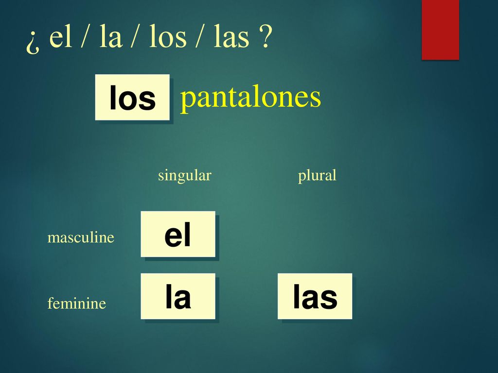 ¿ el / la / los / las pantalones los el la las singular plural