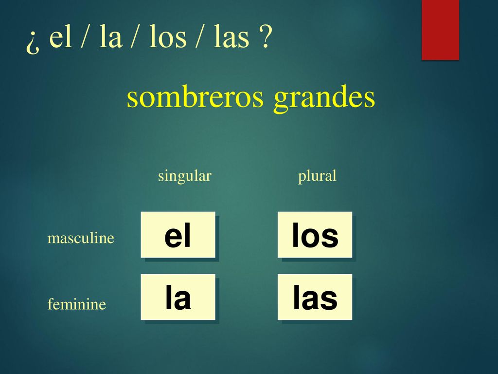 ¿ el / la / los / las sombreros grandes el los la las singular