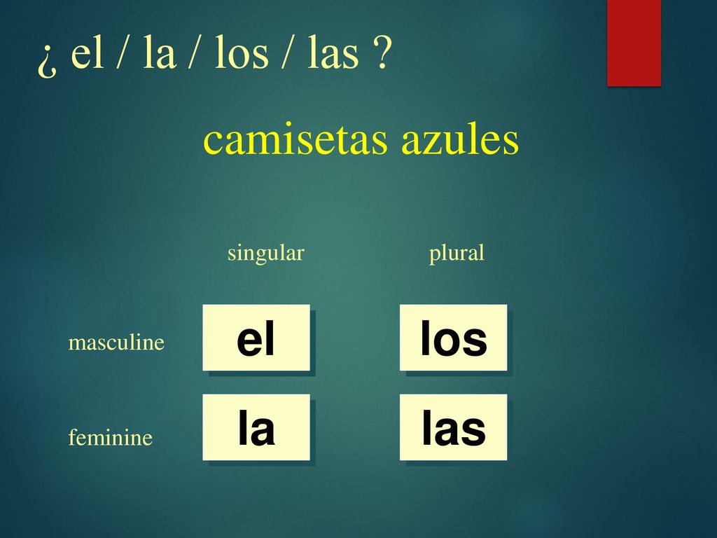 ¿ el / la / los / las camisetas azules el los la las singular plural