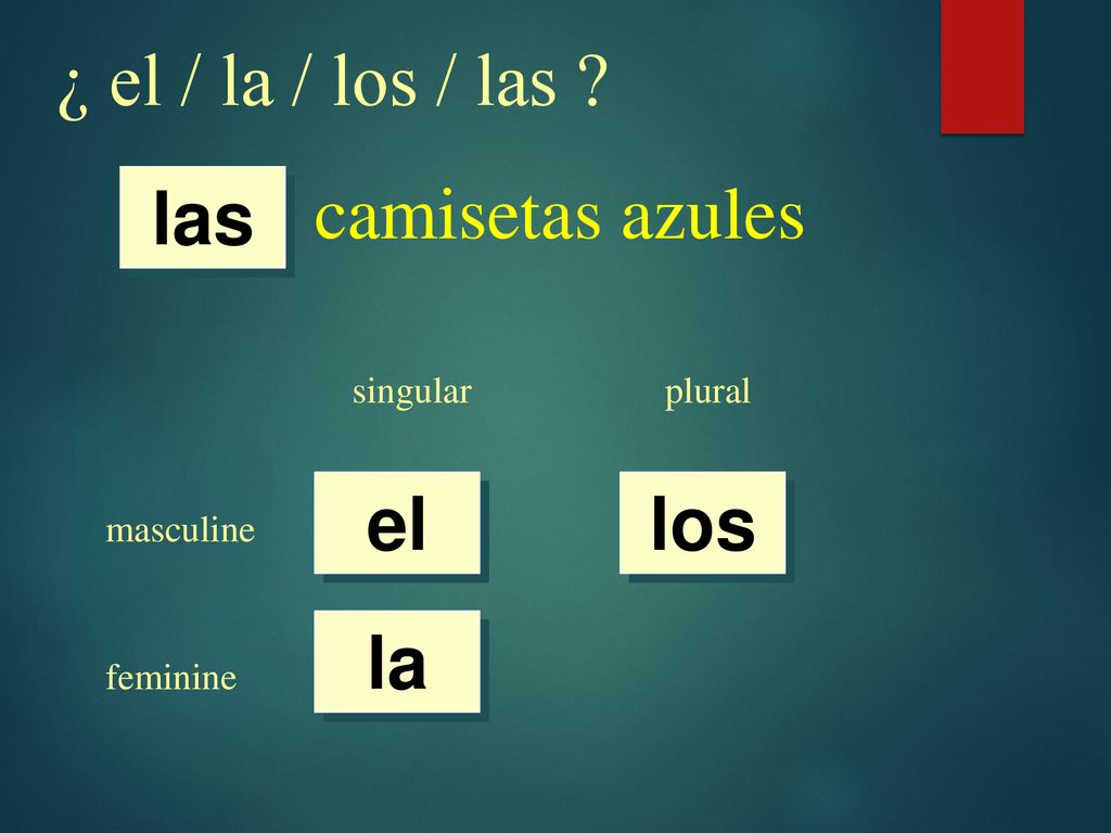 ¿ el / la / los / las camisetas azules las el los la singular plural