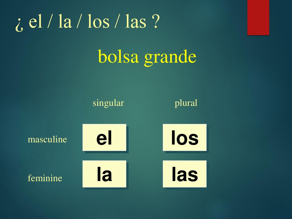 ¿ el / la / los / las bolsa grande el los la las singular plural