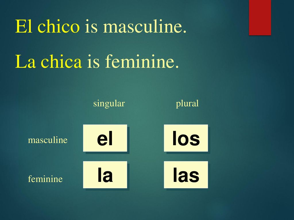 El chico is masculine. La chica is feminine. el los la las singular