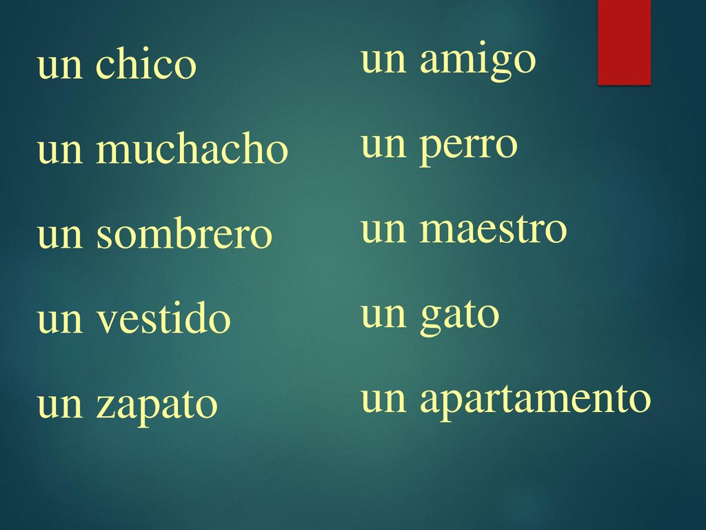 un amigo un perro. un maestro. un gato. un apartamento. un chico. un muchacho. un sombrero. un vestido.