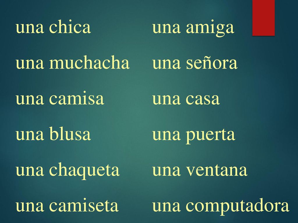 una chica una muchacha. una camisa. una blusa. una chaqueta. una camiseta. una amiga. una señora.