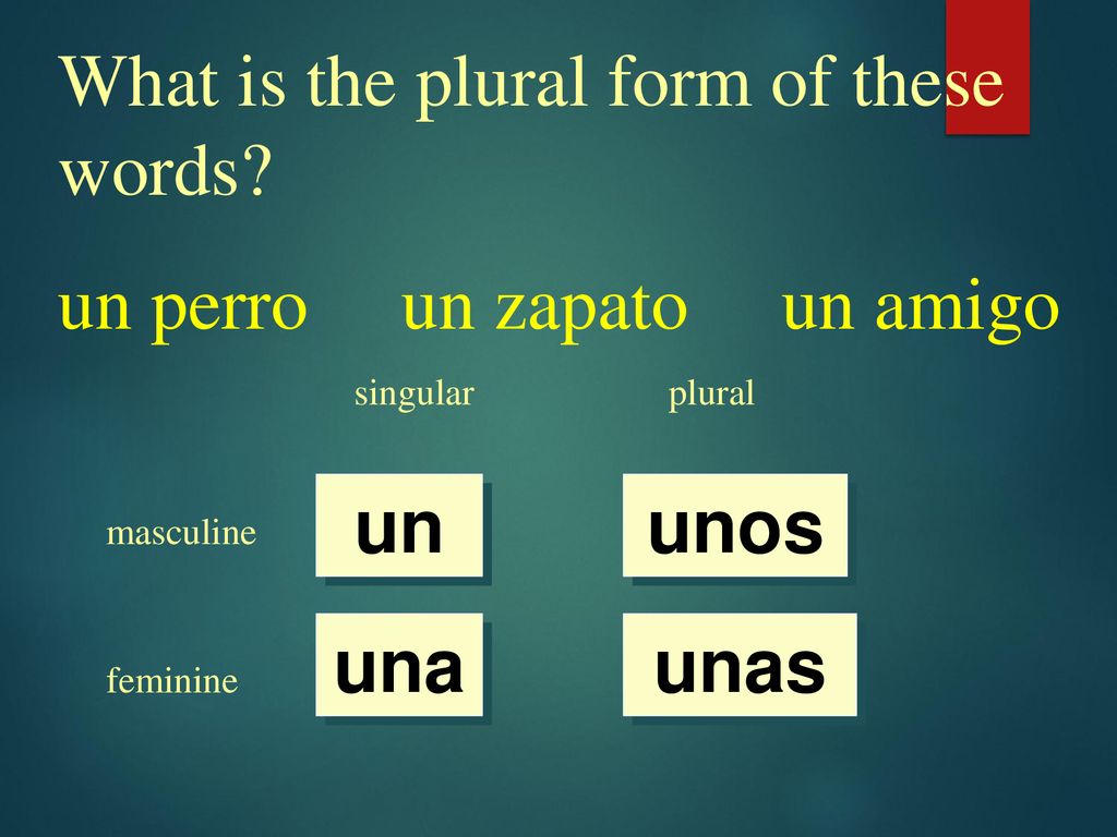 What is the plural form of these words un perro un zapato un amigo