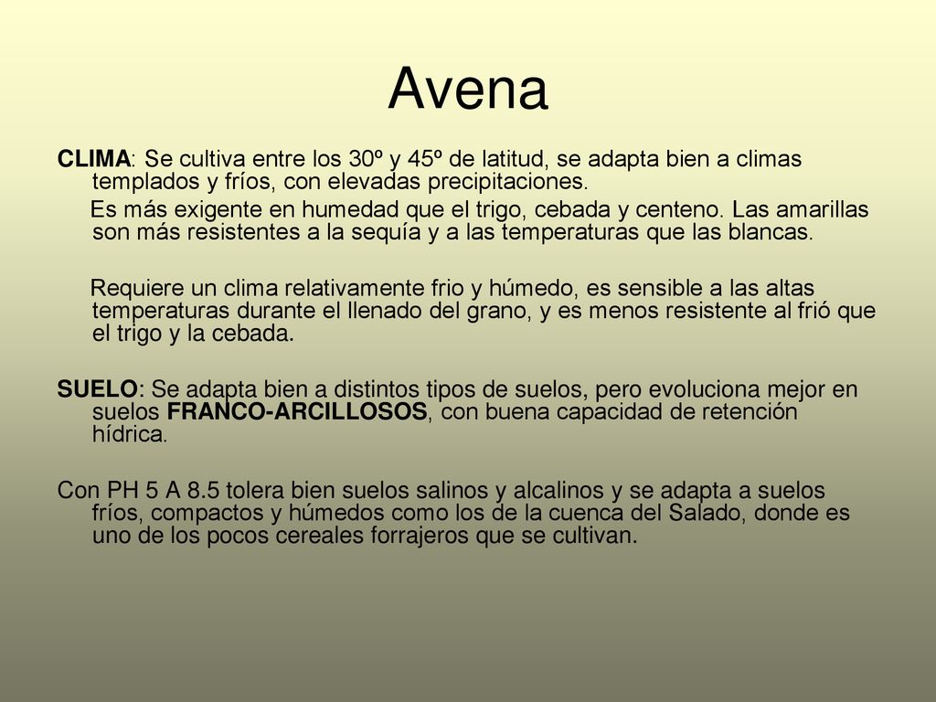 Avena CLIMA: Se cultiva entre los 30º y 45º de latitud, se adapta bien a climas templados y fríos, con elevadas precipitaciones.