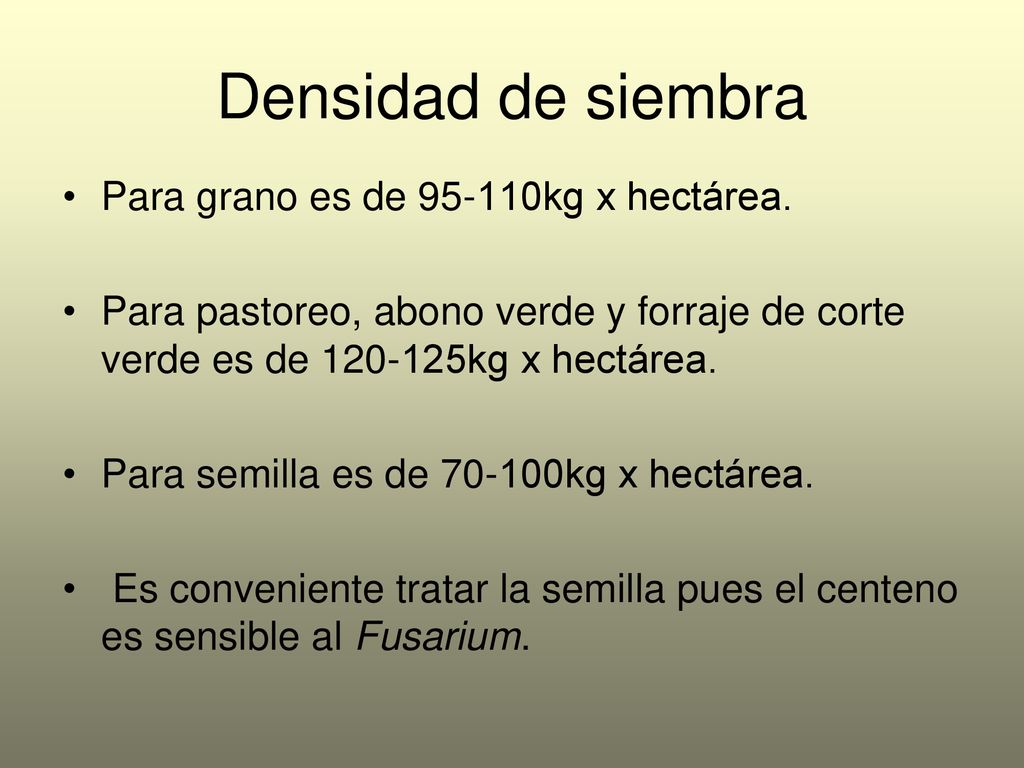 Densidad de siembra Para grano es de kg x hectárea.