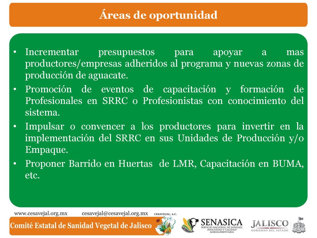 Áreas de oportunidad Incrementar presupuestos para apoyar a mas productores/empresas adheridos al programa y nuevas zonas de producción de aguacate.