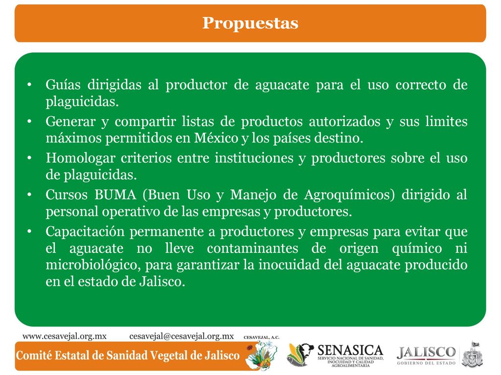 Propuestas Guías dirigidas al productor de aguacate para el uso correcto de plaguicidas.