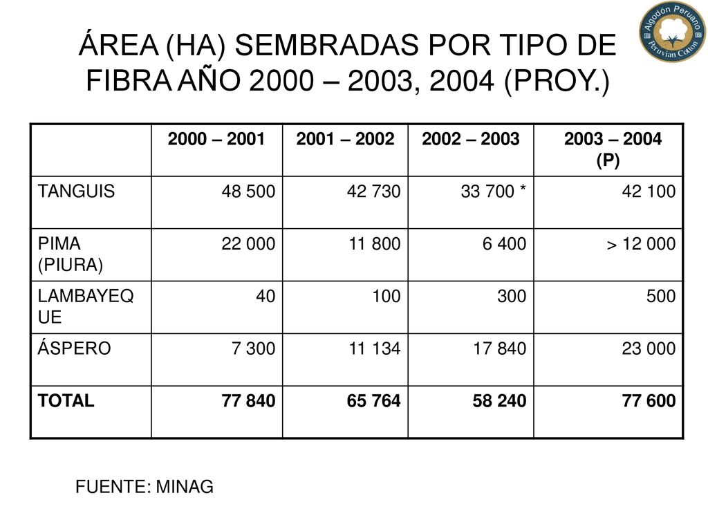 ÁREA (HA) SEMBRADAS POR TIPO DE FIBRA AÑO 2000 – 2003, 2004 (PROY.)