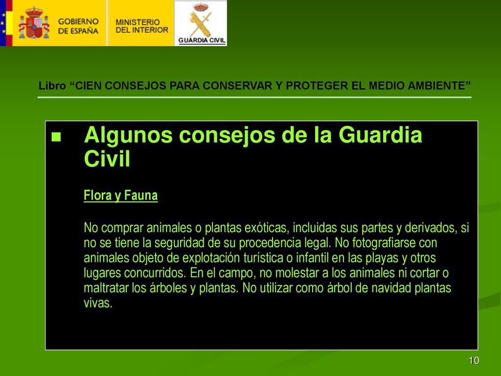 Libro CIEN CONSEJOS PARA CONSERVAR Y PROTEGER EL MEDIO AMBIENTE