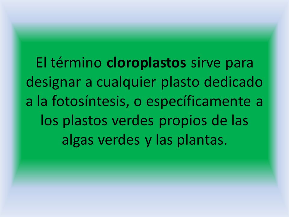 El término cloroplastos sirve para designar a cualquier plasto dedicado a la fotosíntesis, o específicamente a los plastos verdes propios de las algas verdes y las plantas.