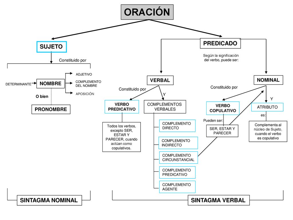 ORACIÓN PREDICADO SUJETO SINTAGMA NOMINAL SINTAGMA VERBAL VERBAL