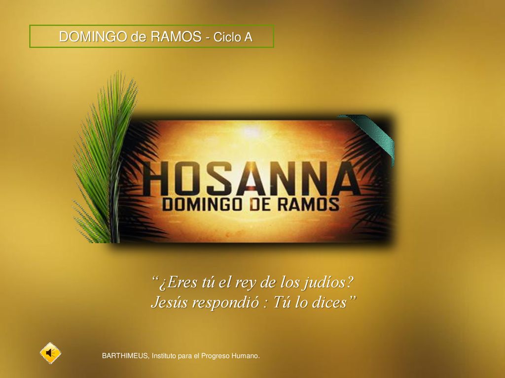 ¿Eres tú el rey de los judíos Jesús respondió : Tú lo dices