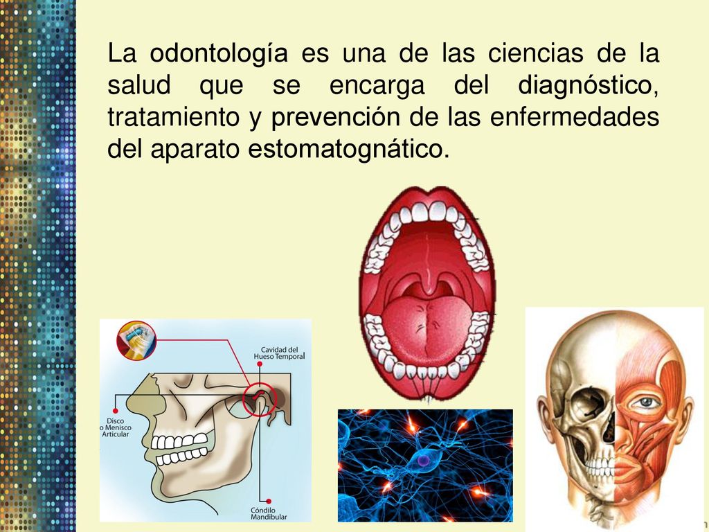 La odontología es una de las ciencias de la salud que se encarga del diagnóstico, tratamiento y prevención de las enfermedades del aparato estomatognático.