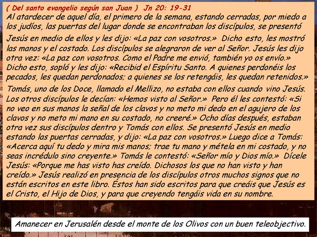 ( Del santo evangelio según san Juan ) Jn 20: 19-31