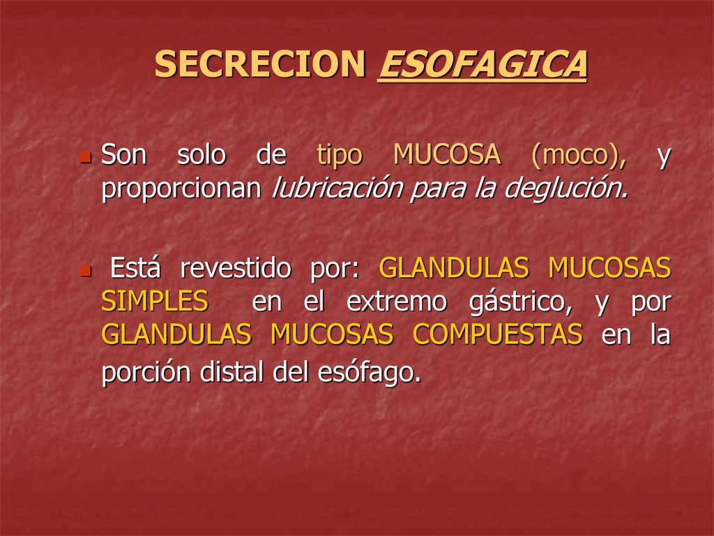 SECRECION ESOFAGICA Son solo de tipo MUCOSA (moco), y proporcionan lubricación para la deglución.