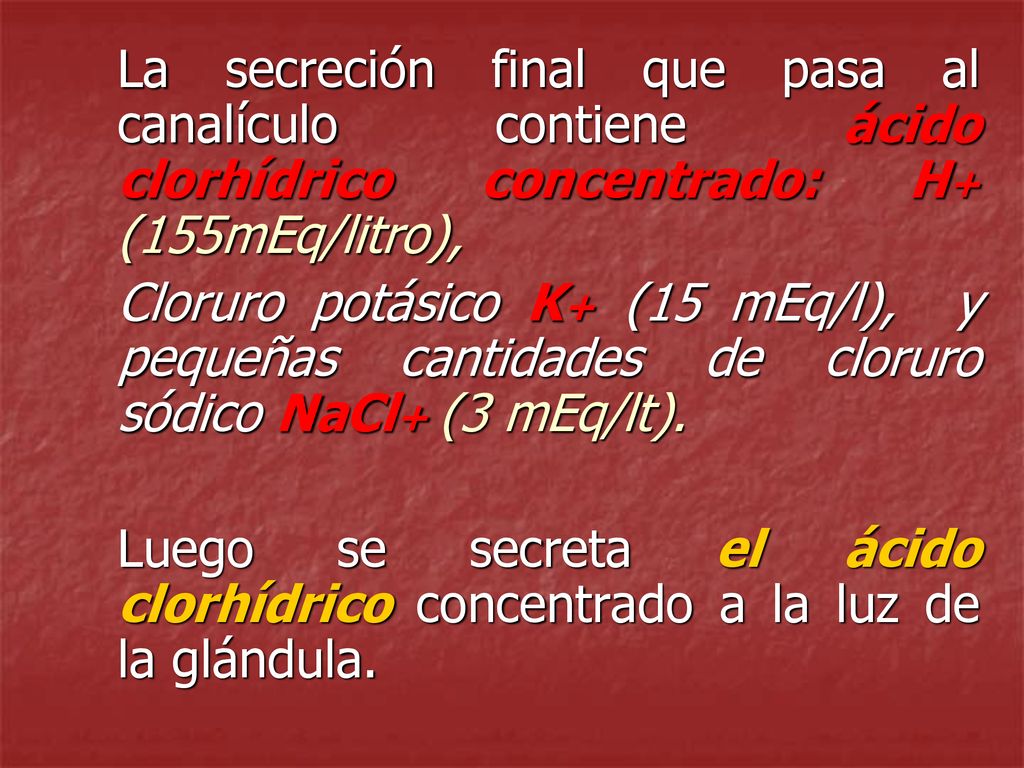 La secreción final que pasa al canalículo contiene ácido clorhídrico concentrado: H+ (155mEq/litro),
