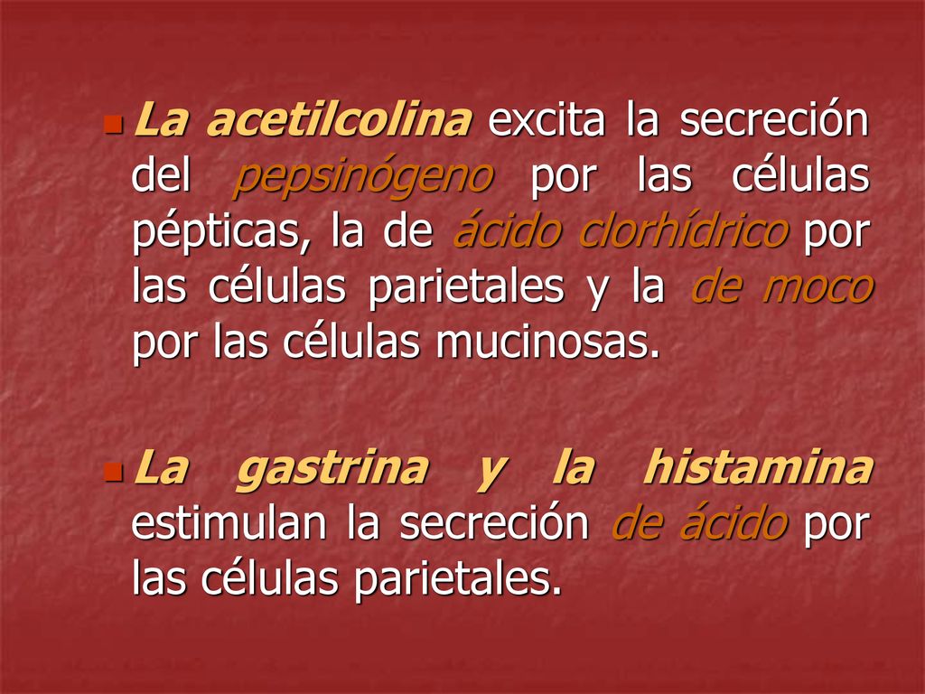 La acetilcolina excita la secreción del pepsinógeno por las células pépticas, la de ácido clorhídrico por las células parietales y la de moco por las células mucinosas.