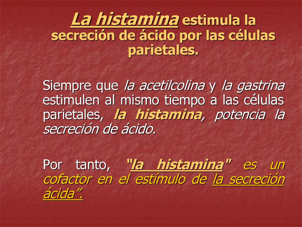 La histamina estimula la secreción de ácido por las células parietales.