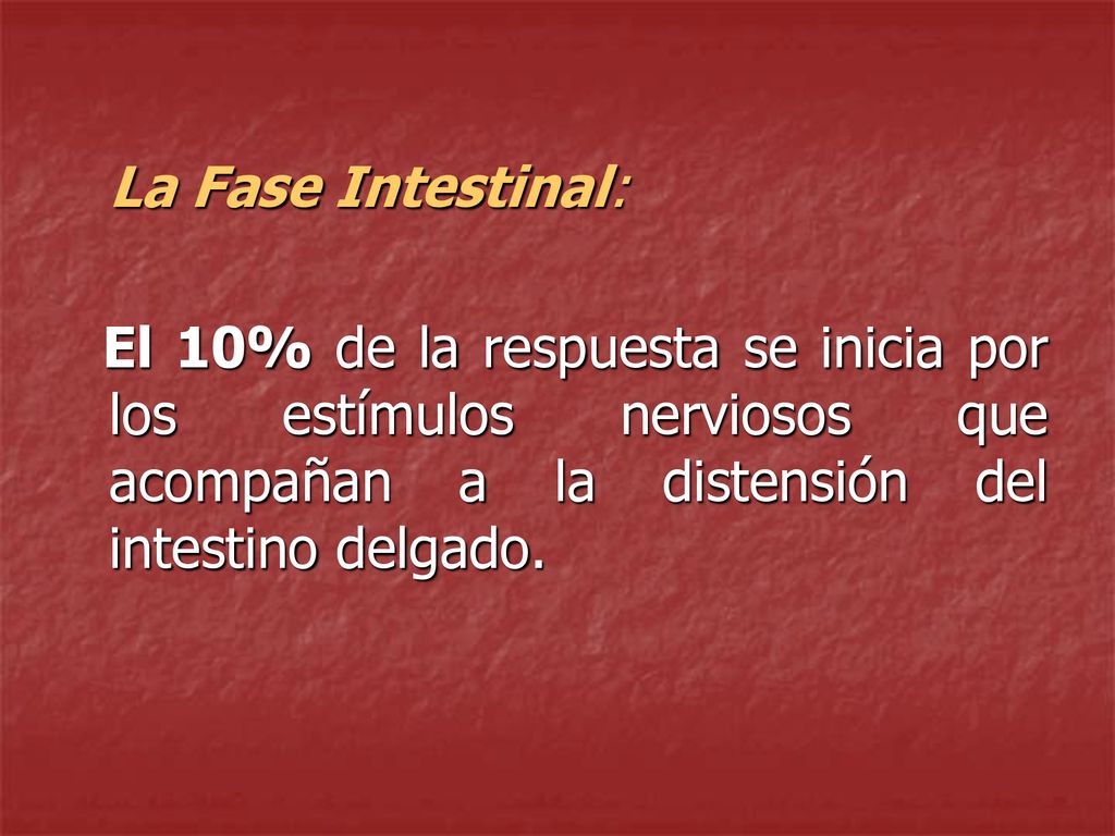 La Fase Intestinal: El 10% de la respuesta se inicia por los estímulos nerviosos que acompañan a la distensión del intestino delgado.