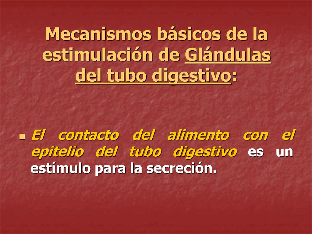 Mecanismos básicos de la estimulación de Glándulas del tubo digestivo: