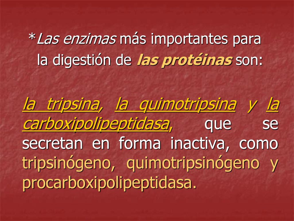 *Las enzimas más importantes para la digestión de las protéinas son: