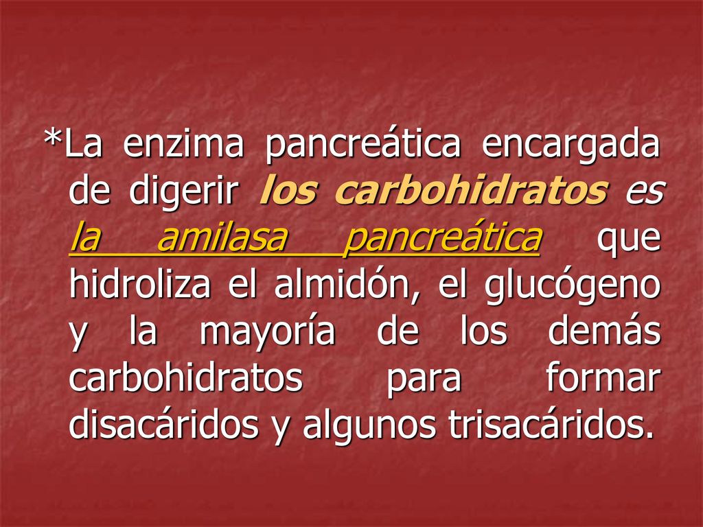 *La enzima pancreática encargada de digerir los carbohidratos es la amilasa pancreática que hidroliza el almidón, el glucógeno y la mayoría de los demás carbohidratos para formar disacáridos y algunos trisacáridos.