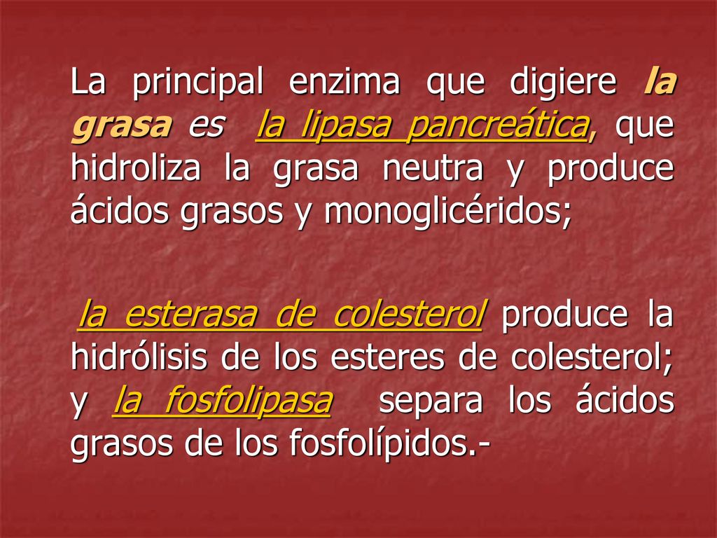 La principal enzima que digiere la grasa es la lipasa pancreática, que hidroliza la grasa neutra y produce ácidos grasos y monoglicéridos;