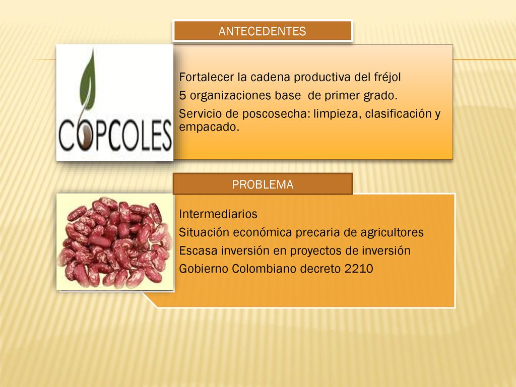 ANTECEDENTES Fortalecer la cadena productiva del fréjol. 5 organizaciones base de primer grado.