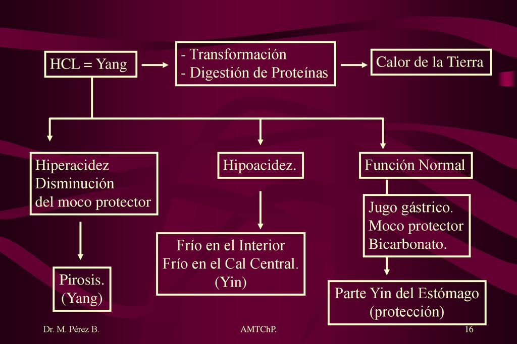- Digestión de Proteínas HCL = Yang Calor de la Tierra