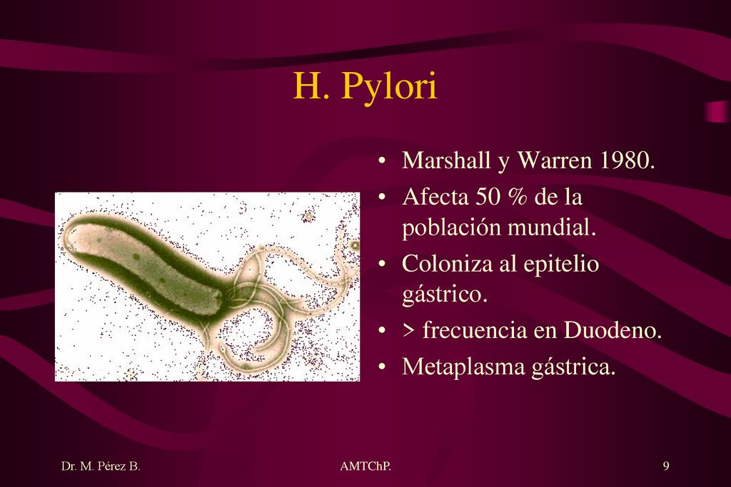 H. Pylori Marshall y Warren Afecta 50 % de la población mundial.