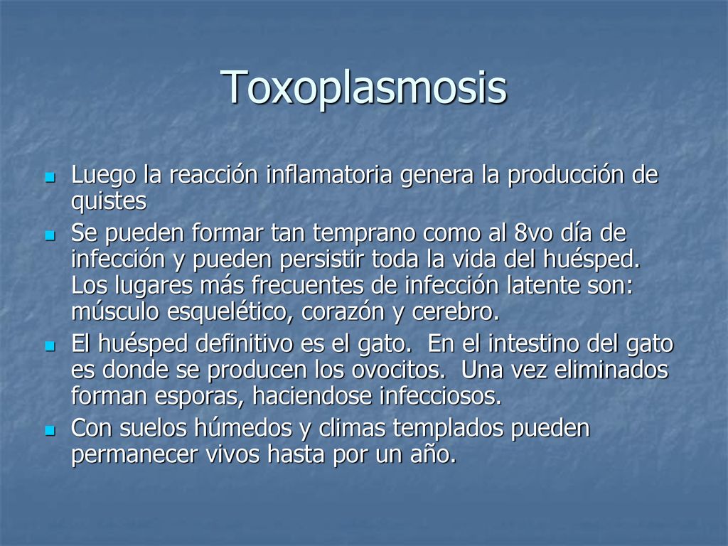 Toxoplasmosis Luego la reacción inflamatoria genera la producción de quistes.