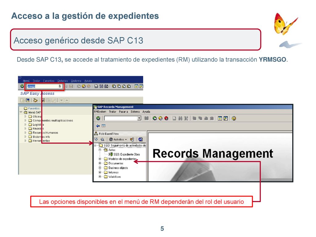 Acceso a la gestión de expedientes Acceso genérico desde SAP C13