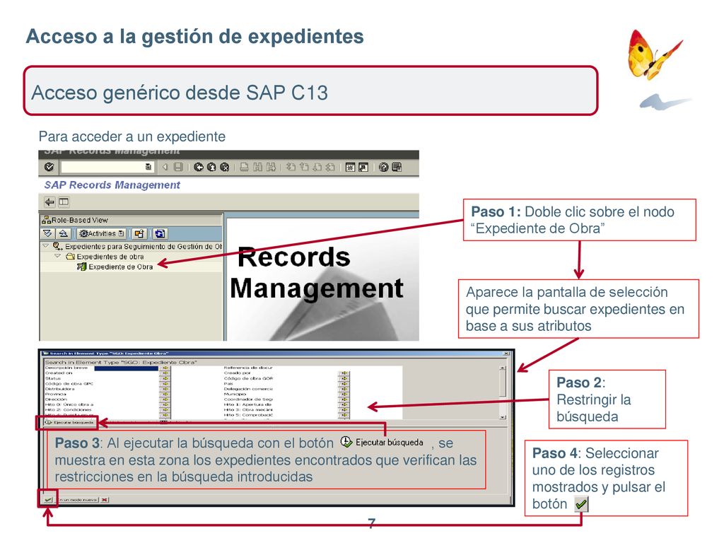 Acceso a la gestión de expedientes Acceso genérico desde SAP C13