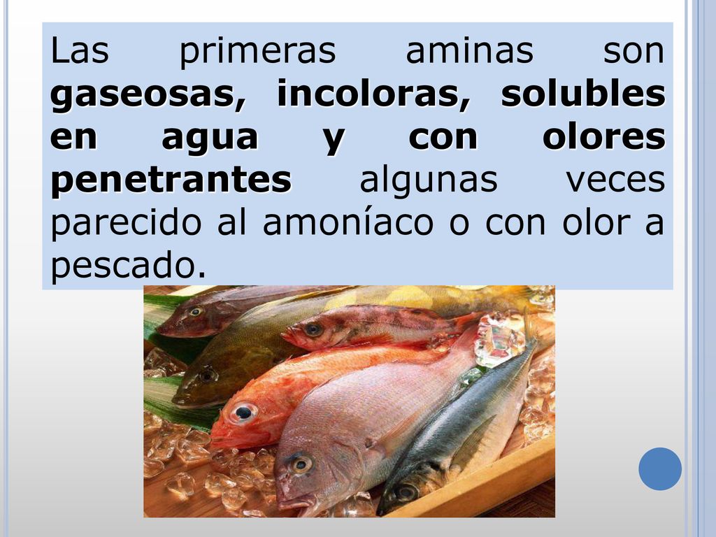 Las primeras aminas son gaseosas, incoloras, solubles en agua y con olores penetrantes algunas veces parecido al amoníaco o con olor a pescado.