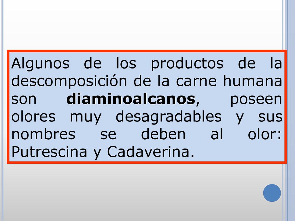 Algunos de los productos de la descomposición de la carne humana son diaminoalcanos, poseen olores muy desagradables y sus nombres se deben al olor: Putrescina y Cadaverina.