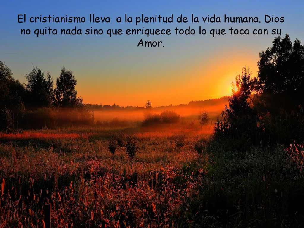 El cristianismo lleva a la plenitud de la vida humana
