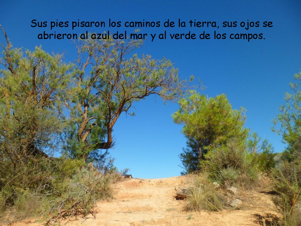 Sus pies pisaron los caminos de la tierra, sus ojos se abrieron al azul del mar y al verde de los campos.