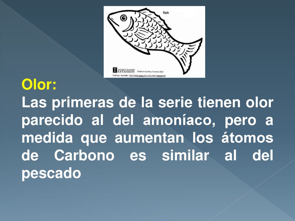Olor: Las primeras de la serie tienen olor parecido al del amoníaco, pero a medida que aumentan los átomos de Carbono es similar al del pescado.