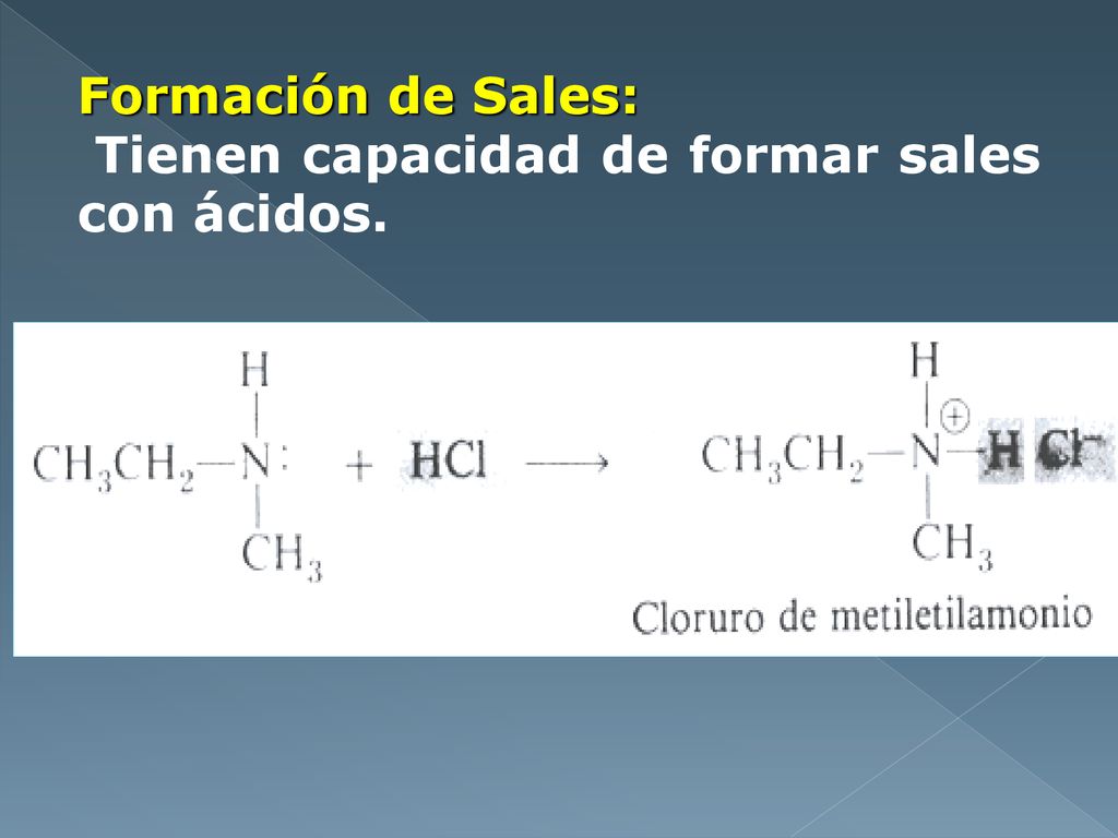 Formación de Sales: Tienen capacidad de formar sales con ácidos.